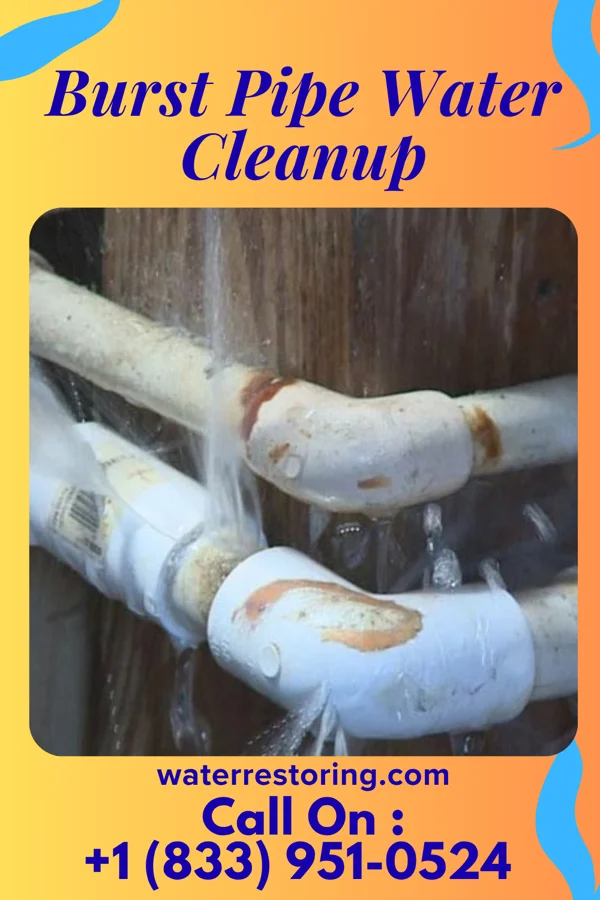 Burst Pipe Water Cleanup in Portland, IN
